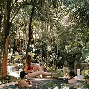 https://anand-ecoaldea.allrivieramayahotels.com